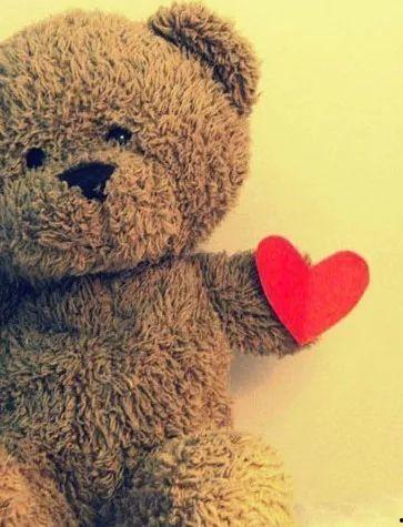 丽江网红熊图片头像,萌态可掬的治愈系头像